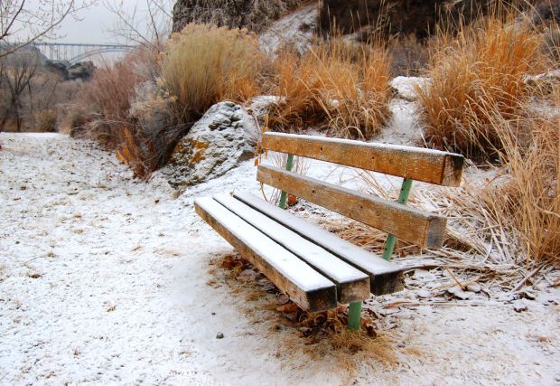 Park bench